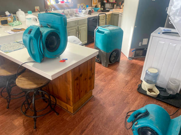 Best Water damage restoration near me  in South Bend, IN