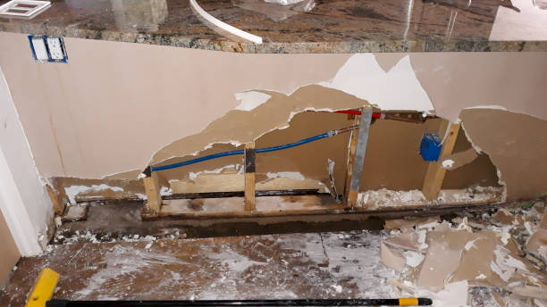 Best Water damage restoration near me  in South Bend, IN