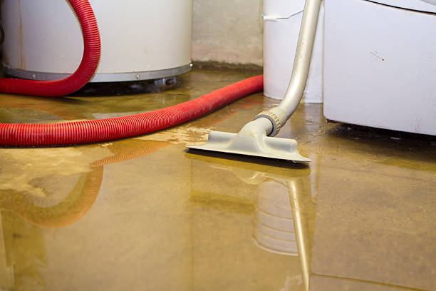 Best Mold removal after water damage  in South Bend, IN