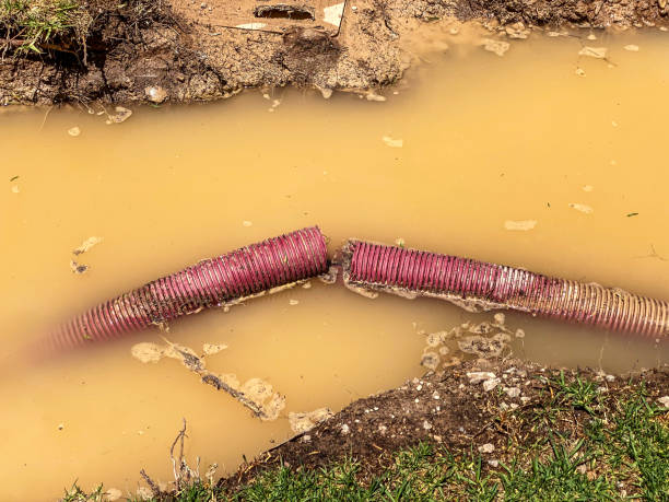 Best Water damage cleanup near me  in South Bend, IN